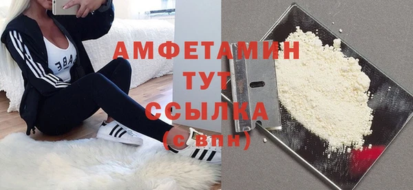 дживик Богородицк