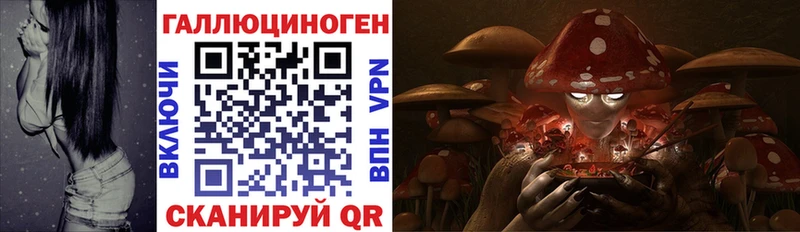 Галлюциногенные грибы MAGIC MUSHROOMS  Новороссийск 