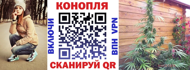 купить наркоту  Новороссийск  Шишки марихуана индика 